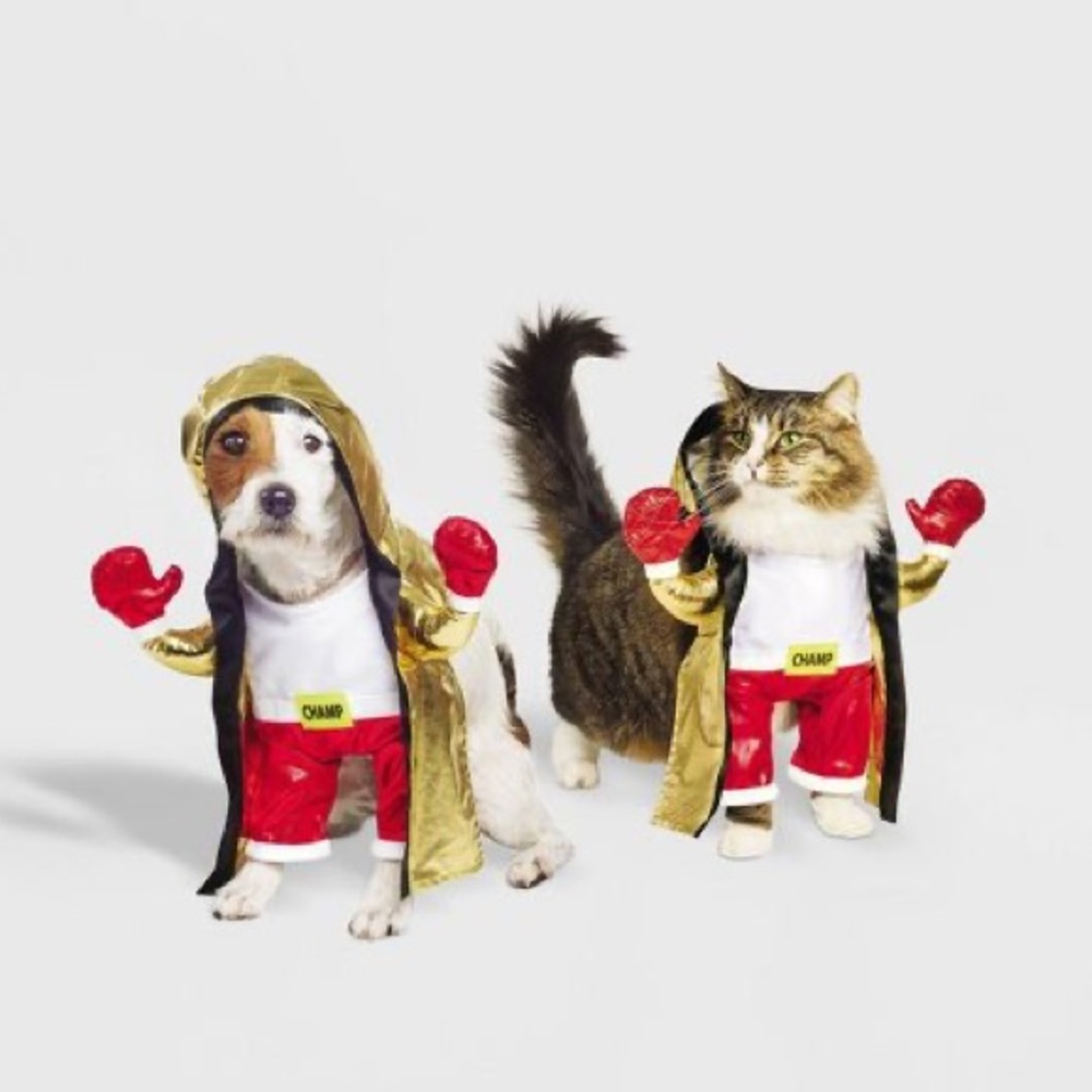 🎃 Halloween Pet Custom Boxer Champ Outfit for Dogs Hyde & EEK Boxer Outfit SMALL - Picture 6 of 12